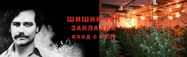 сатива Абдулино