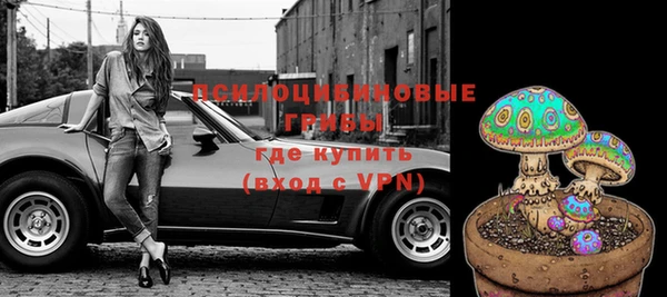 хмурый Алексеевка