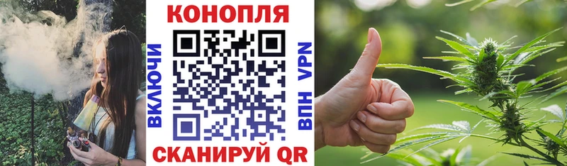 Шишки марихуана OG Kush хочу Абакан